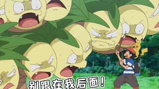 【宝可梦】宝可梦世界应该没人不知道小智和皮卡丘的实力吧？