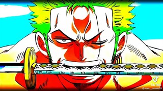 Zoro luôn tôn trọng thuyền trưởng của mình 😈