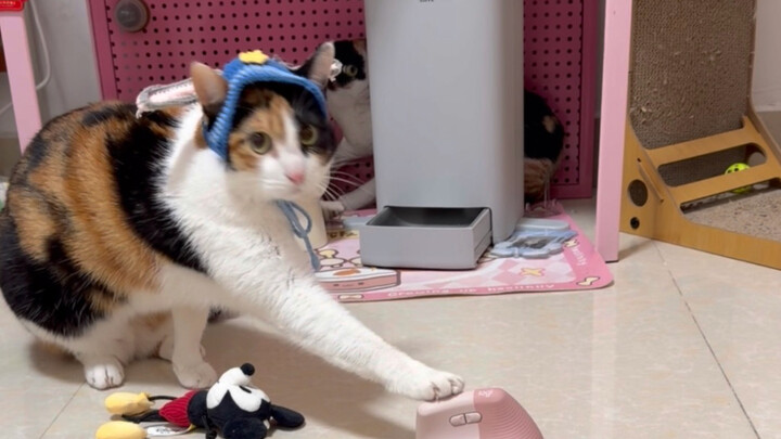 Passing by Home Three Times