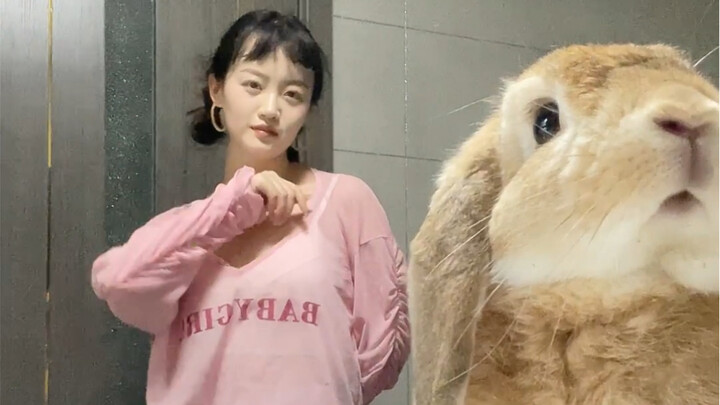 《关于我的跳舞搭子🐰只在镜子里看我这件事》