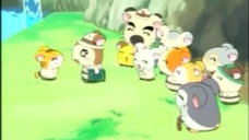 แฮมทาโร่ แก๊งจิ๋วผจญภัย ปี4 ตอนที่ 20