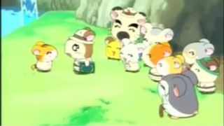 แฮมทาโร่ แก๊งจิ๋วผจญภัย ปี4 ตอนที่ 20