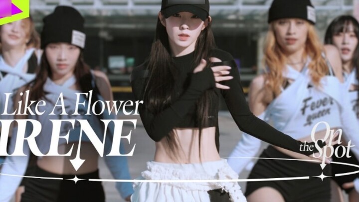 【4K】Versi dance dari lagu debut solo Bae Joo Hyun "Like A Flower"