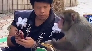 حوارهما كشف أسرار الصناعة