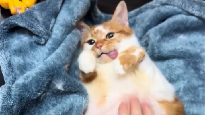 ???