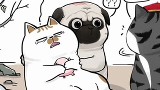 Beberapa kucing mungkin tampak lucu atau imut di luar, tetapi mereka mungkin berkulit gelap atau gel