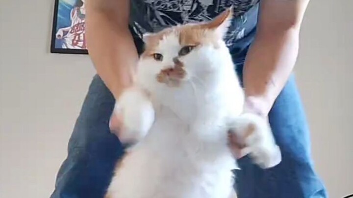 [Animal Voice Acting] Whenever I exercise, I just want to order food!