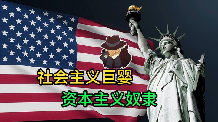 社会主义巨婴VS资本主义奴隶 因为过于离谱 所以不得不相信是真的