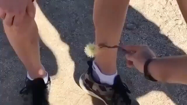 传球呢