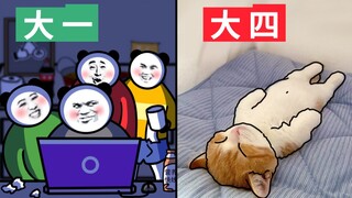 当 代 大 学 生 夜 聊 现 状 2.0
