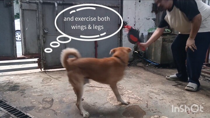 Dummy Cock training exercise for accuracy and improve Frontal blows.