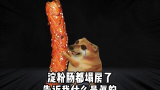 连淀粉肠都塌房了