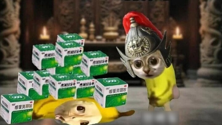 Episode 8 Penularan Butiran Padi