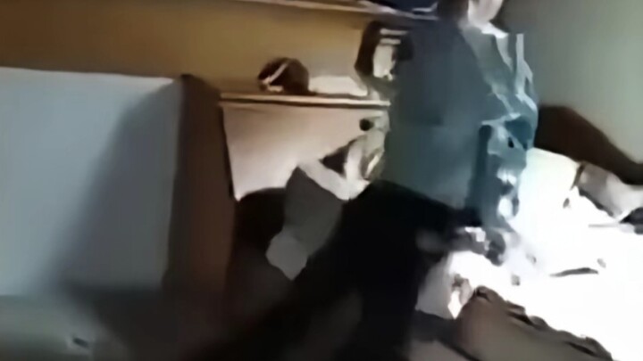 Little Brother Caught a Female Spy!