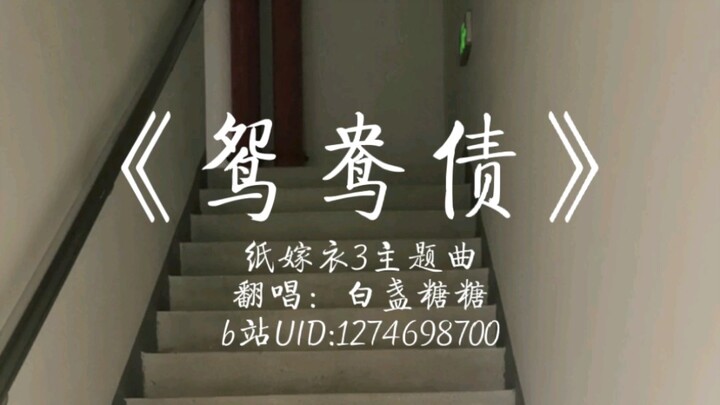 Paper Wedding Dress Theme Song "Mandarin Duck Debt" A Cappella