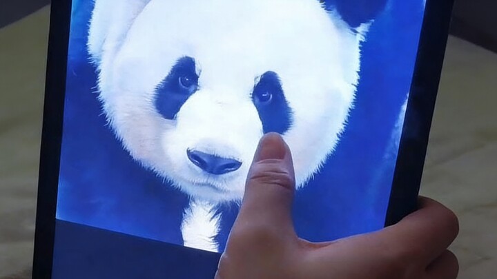 ปริศนาชาวแพนด้า: รู้จักแพนด้ายักษ์ชื่อดังถึง 90% ถือว่ามีระดับไหนกันนะ?