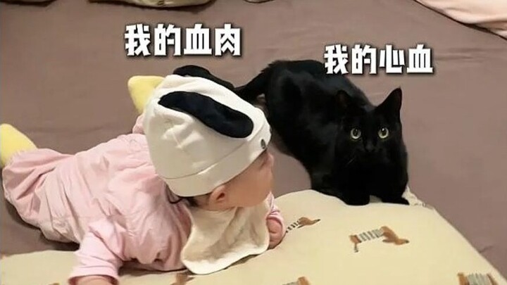 It feels like my DNA has known kittens for a bit longer~