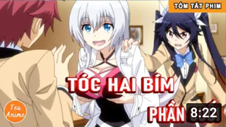 Tóm Tắt Anime Hay_ Tóc Hai Bím Phần Cuối _ Review Anime