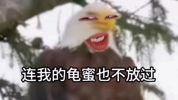 "Đội tuyển vàng"