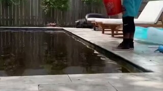 原来泳池脏了是这么清洗干净的，水是不用换的哦~