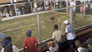 another black mcrae win