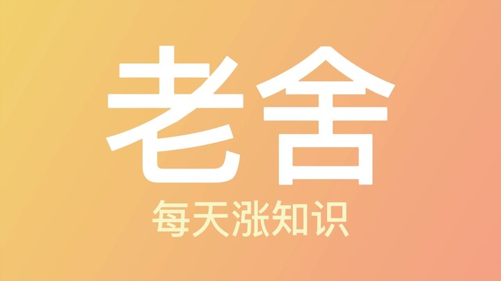 Hừ, tôi không thích mèo!