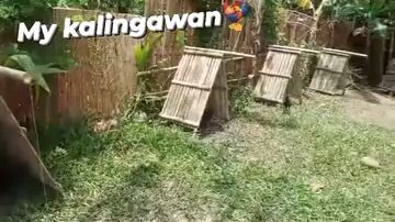 kalingawan na naging bisyo!😄😂🤣