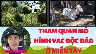 Tham Quan Mô Hình VAC  Độc Đáo Ở Miền Tây || Visiting Unique VAC Model In The West || Tú Rio Vlogs