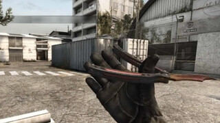 Gerakan Pisau Balisong yang Kata CSGO Tidak Bisa Dilakukan Manusia [FishFPS]