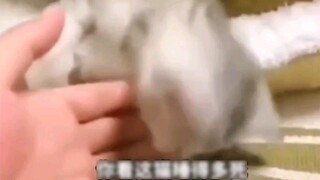 The ending is reversed many times