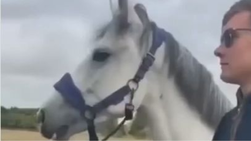 а куда мы идем, k казахам! #shorts #shortvideo #short #youtubeshorts #funny #юмар #приколы #youtube