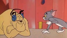 Tom and Jerry tập 131 - 135