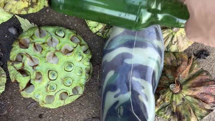 Membuat panggung dari botol bekas