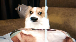 "لوحات عالمية شهيرة"