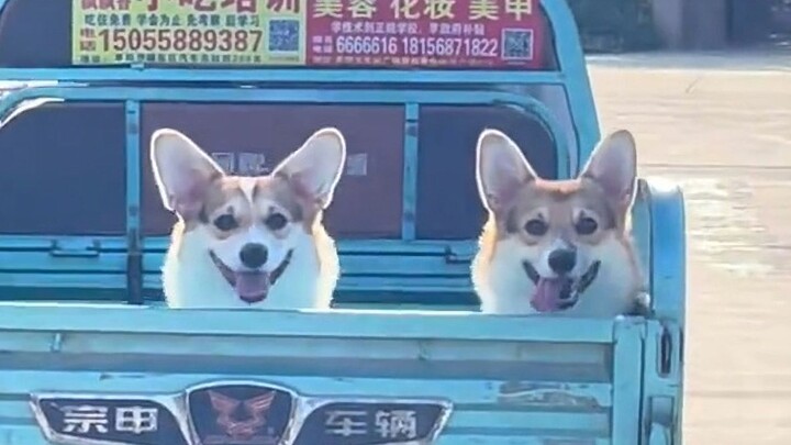 “ความสุขจริงๆ แล้วง่ายนิดเดียว~”