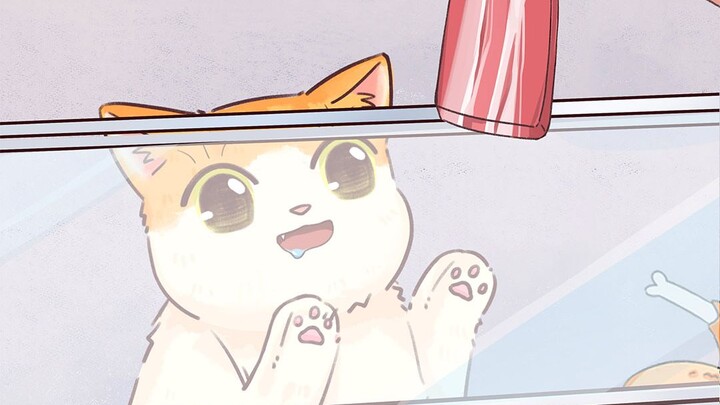 Một chú mèo lễ phép, hiểu chuyện như vậy, ai nỡ để nó đói chứ!