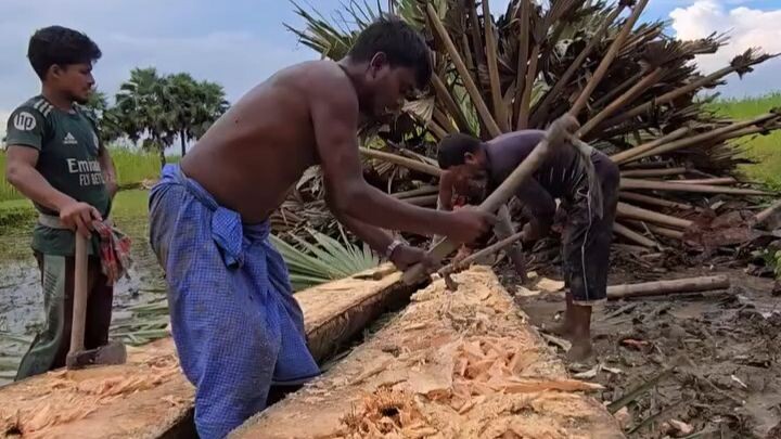 India’s Century-Old Traditional Craft: The Complete Process of Crafting a Palm-Tree Canoe