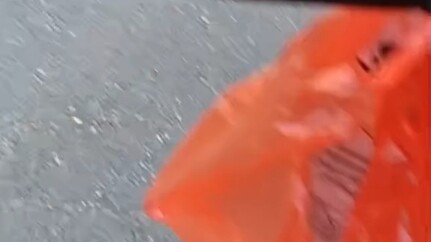 It was only then that I realized: a melon that wasn't meant for me would ultimately slip through my 