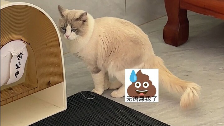 The Zhuge Liang and Pang Tong of the poop-pulling world.