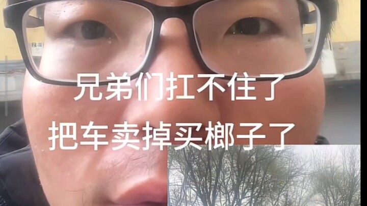 [ชิเหรินทีวี] ใช่เลย ขายรถแล้วเอาเงินไปซื้อหมากฝรั่ง&ให้แมลงวันวางไข่ในแผลนี่แหละ&ทำไมฉันใช้ปากกาเฉิ