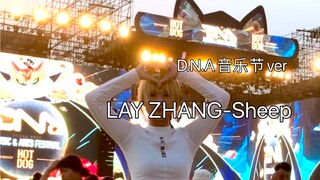 我在粉了九年的偶像的音乐节上跳了他的solo成名曲