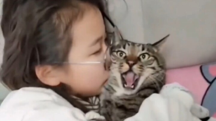 “Tuan kucing yang selalu kena jebakan”