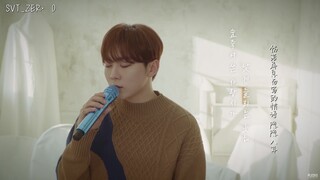 【SVT_ZER·0】[COVER]  SEVENTEEN 夫胜宽 - Love poem (原曲 IU) 零站中字
