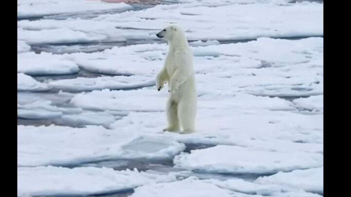 Lướt thấy cái này cảm giác như toàn bộ người giàu trên thế giới đều nợ tôi một lời xin lỗi.