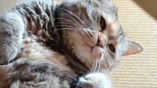 พุงนี้ดูดมือเลยนะ!