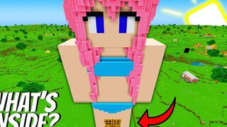 ฉันพบสาวที่ใหญ่ที่สุดที่มี SECRET PASSAGE ใน Minecraft! มีอะไรอยู่ข้างใน BIKINI GIRL