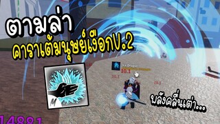 ตามล่า "Sharkman Karate" โคตรง่าย!  Roblox Blox Fruits