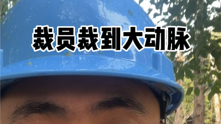裁员裁到了大动脉