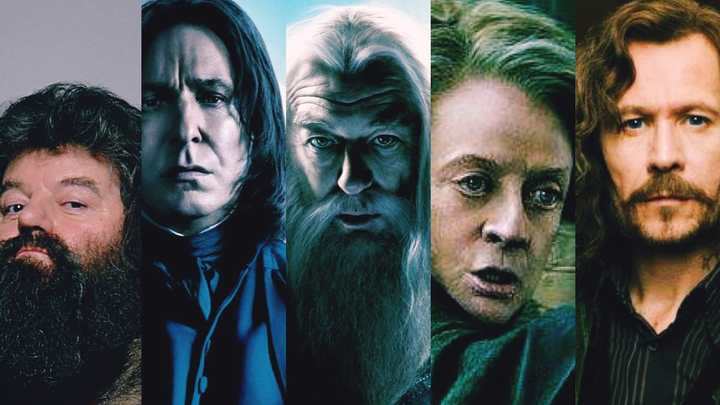 【哈利波特HP/混剪/燃向/踩点】师长-霍格沃茨的瑰宝 由我们来守护！ BGM-Sold Out