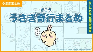 【うさぎまとめ】うさぎの奇行シーンエピソード総集編【ちいかわ解説】#ちいかわ